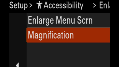 Image of camera display showing Enlarge Screen setting menu (Magnification ×2.0)